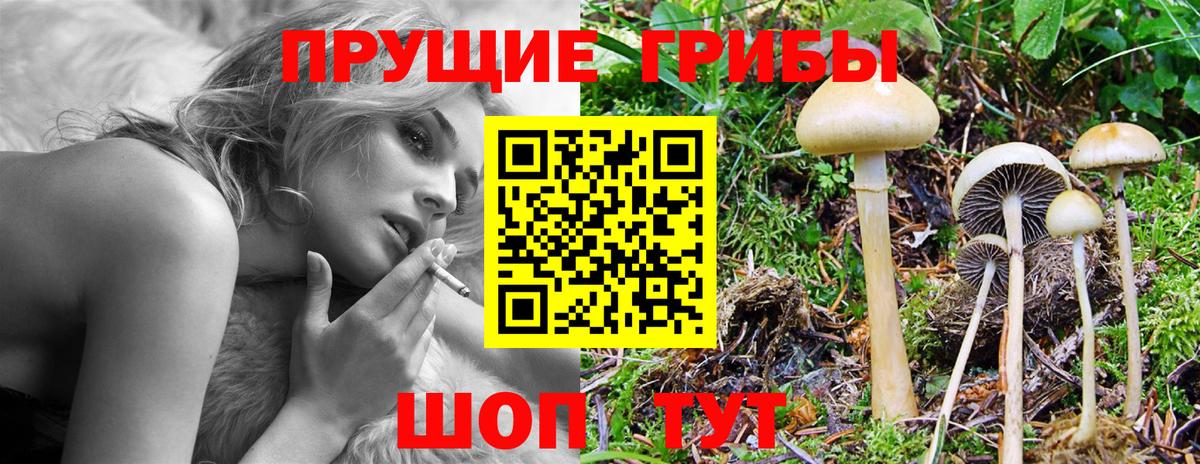 Псилоцибиновые грибы Magic Shrooms  Вход с VPN  Кострома 